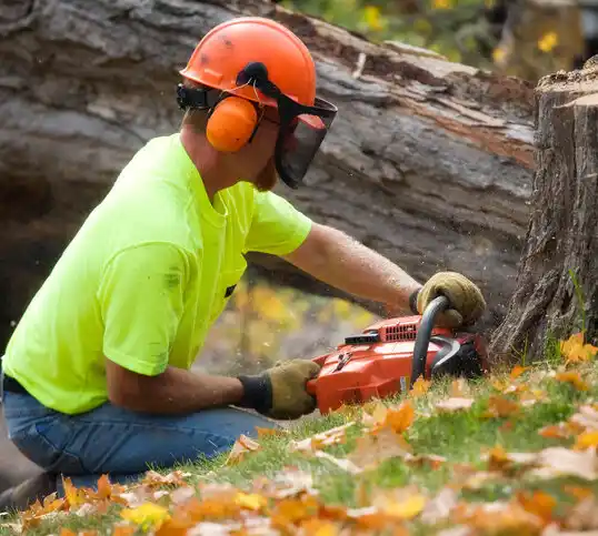 tree services Belle Center